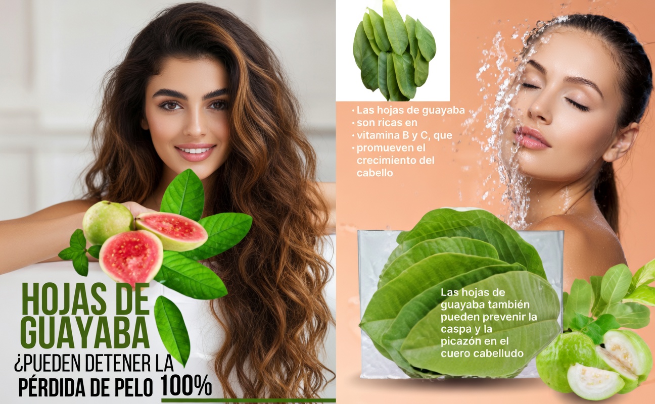 ¿Pueden las hojas de guayaba favorecer un cabello más saludable? Explorando sus posibles beneficios y cómo utilizarlas