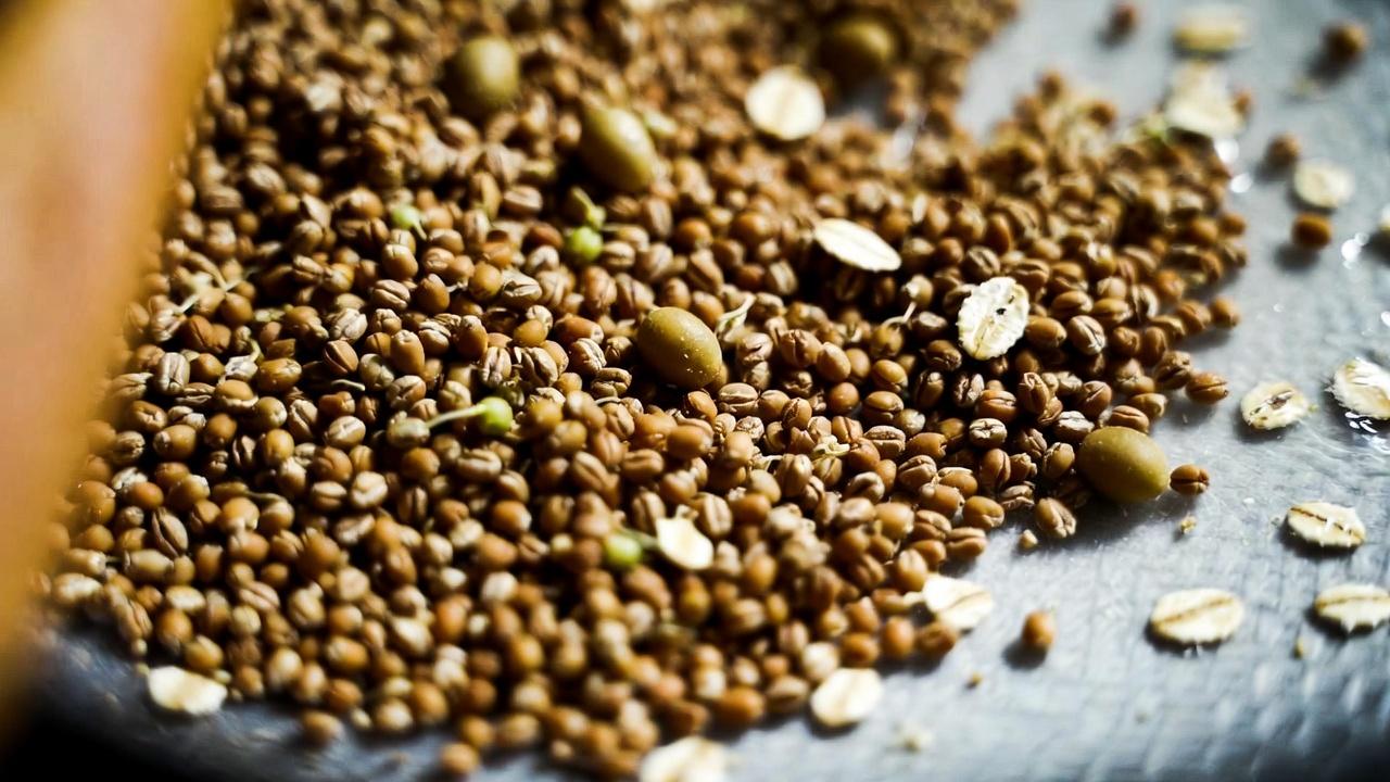 Los mejores panes para personas que controlan el azúcar en la sangre: opciones de bajo índice glucémico a considerar