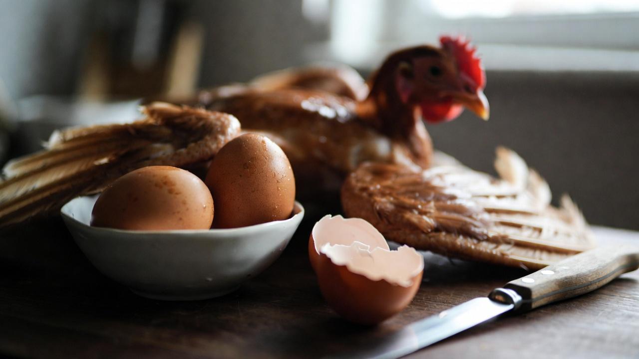 Las 3 mejores vitaminas para detener los calambres en las piernas y recuperar la fuerza en adultos mayores: fortalece tus piernas de forma natural