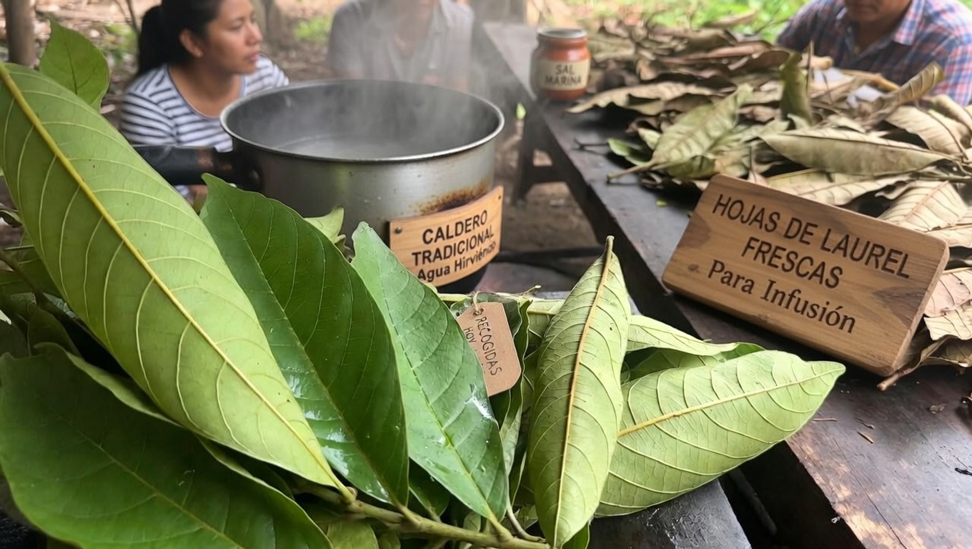 ¿Cuáles son las sorprendentes formas en que el té de hojas de guayaba puede apoyar tu rutina diaria de bienestar?
