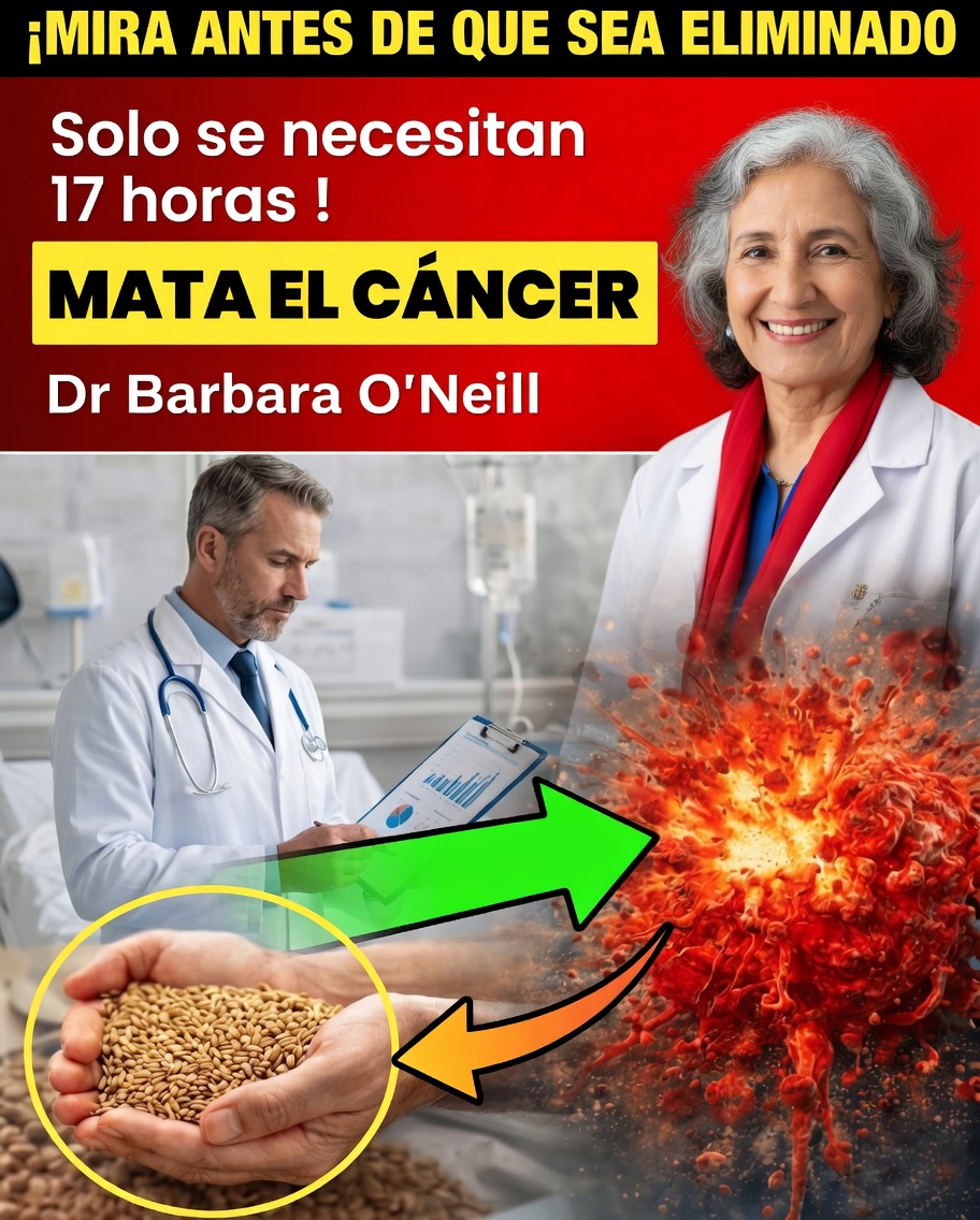 ¿El cáncer teme a ciertos alimentos? 11 opciones que pueden protegerte discretamente