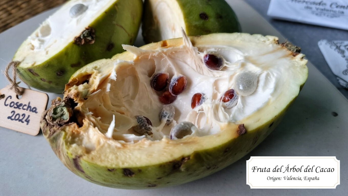 Chirimoya: 10 formas sencillas de añadir esta cremosa fruta tropical para mejorar el aporte de antioxidantes en la vejez