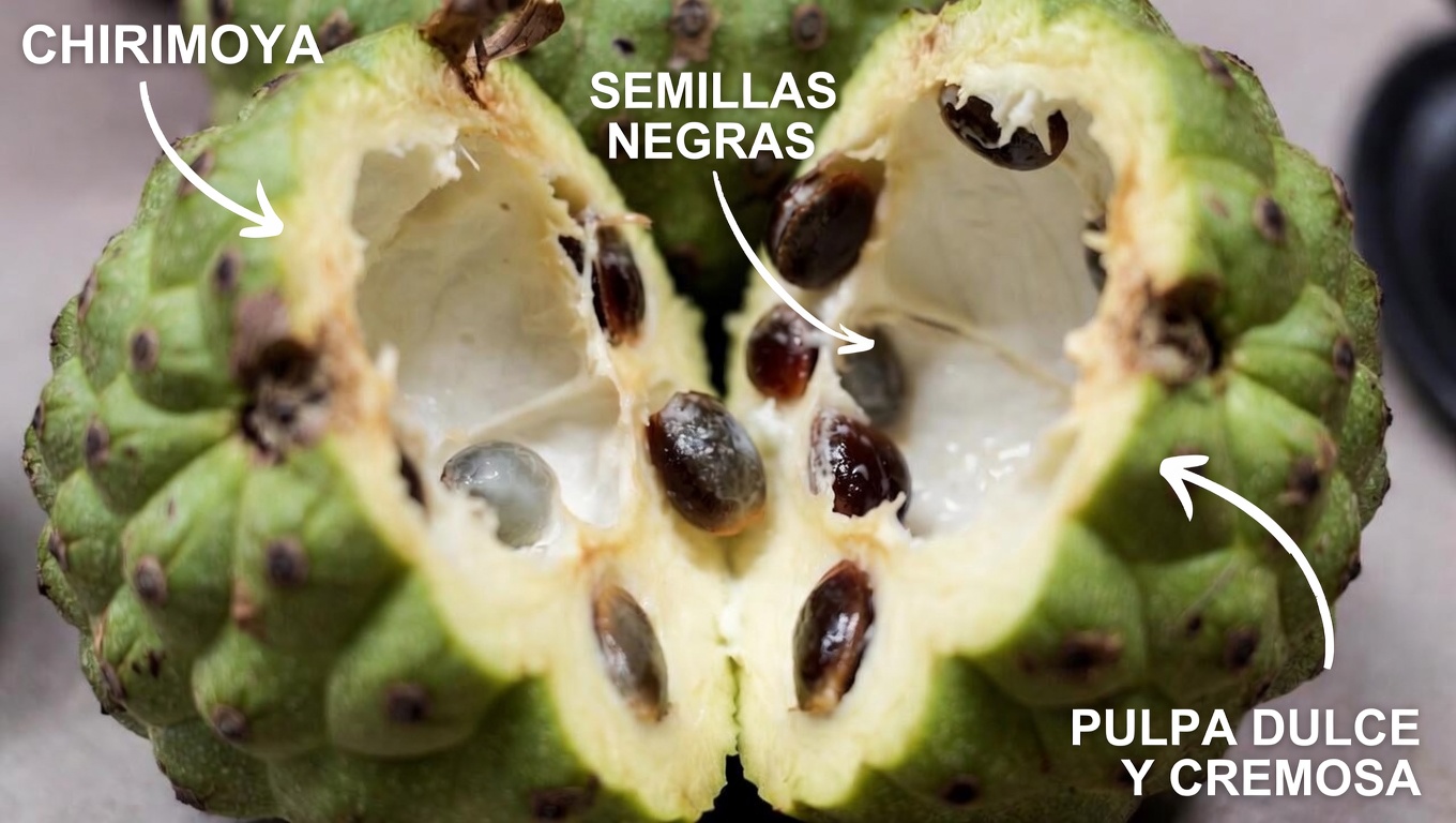 Chirimoya: 10 formas sencillas de añadir esta cremosa fruta tropical para mejorar el aporte de antioxidantes en la vejez