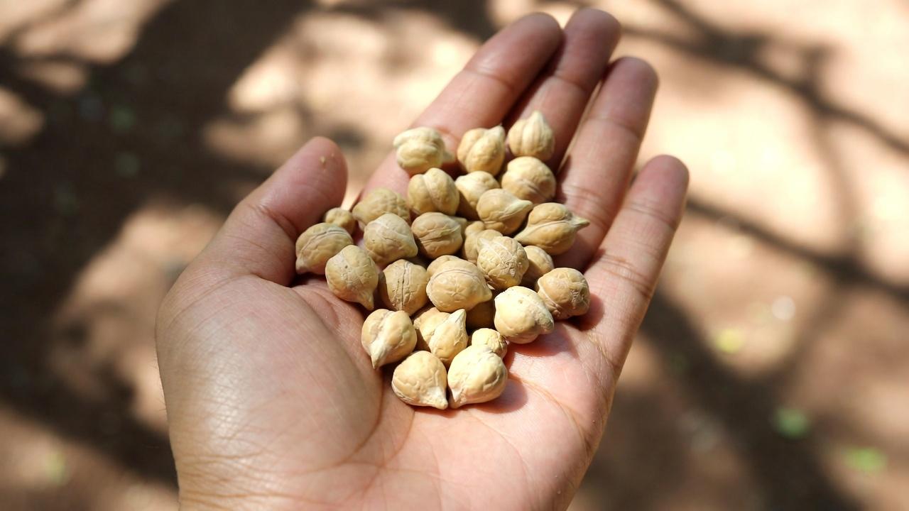 Adultos mayores: 6 proteínas que debe limitar y 4 opciones más seguras si tiene problemas renales