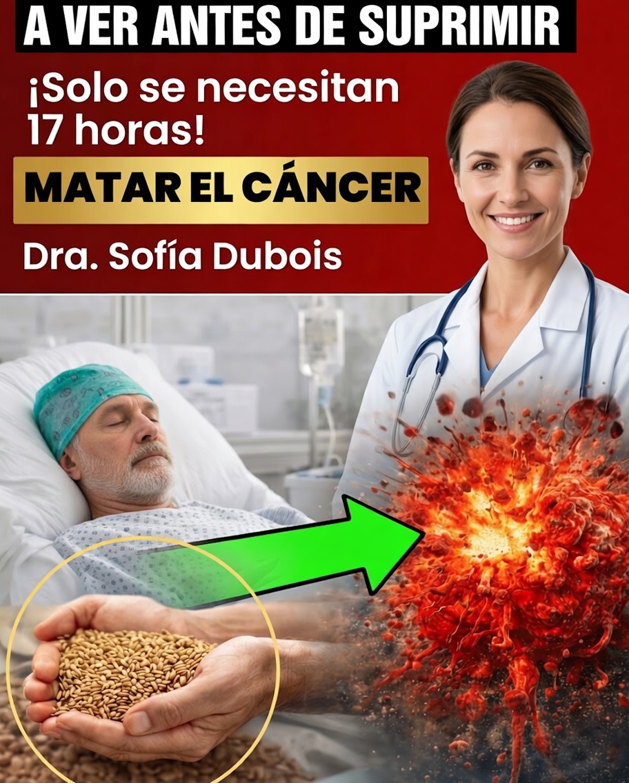 ¿El cáncer le teme a ciertos alimentos? 11 opciones que podrían protegerte discretamente