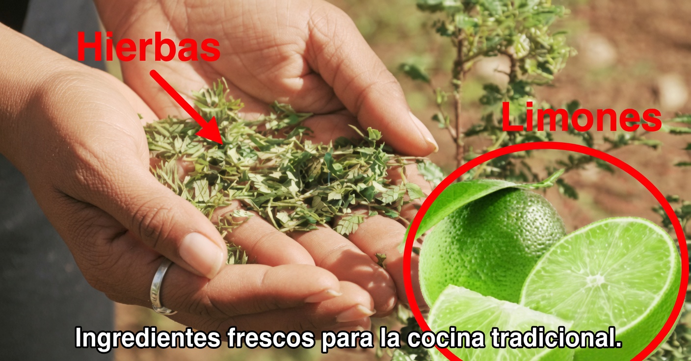 Orégano y limón para la salud