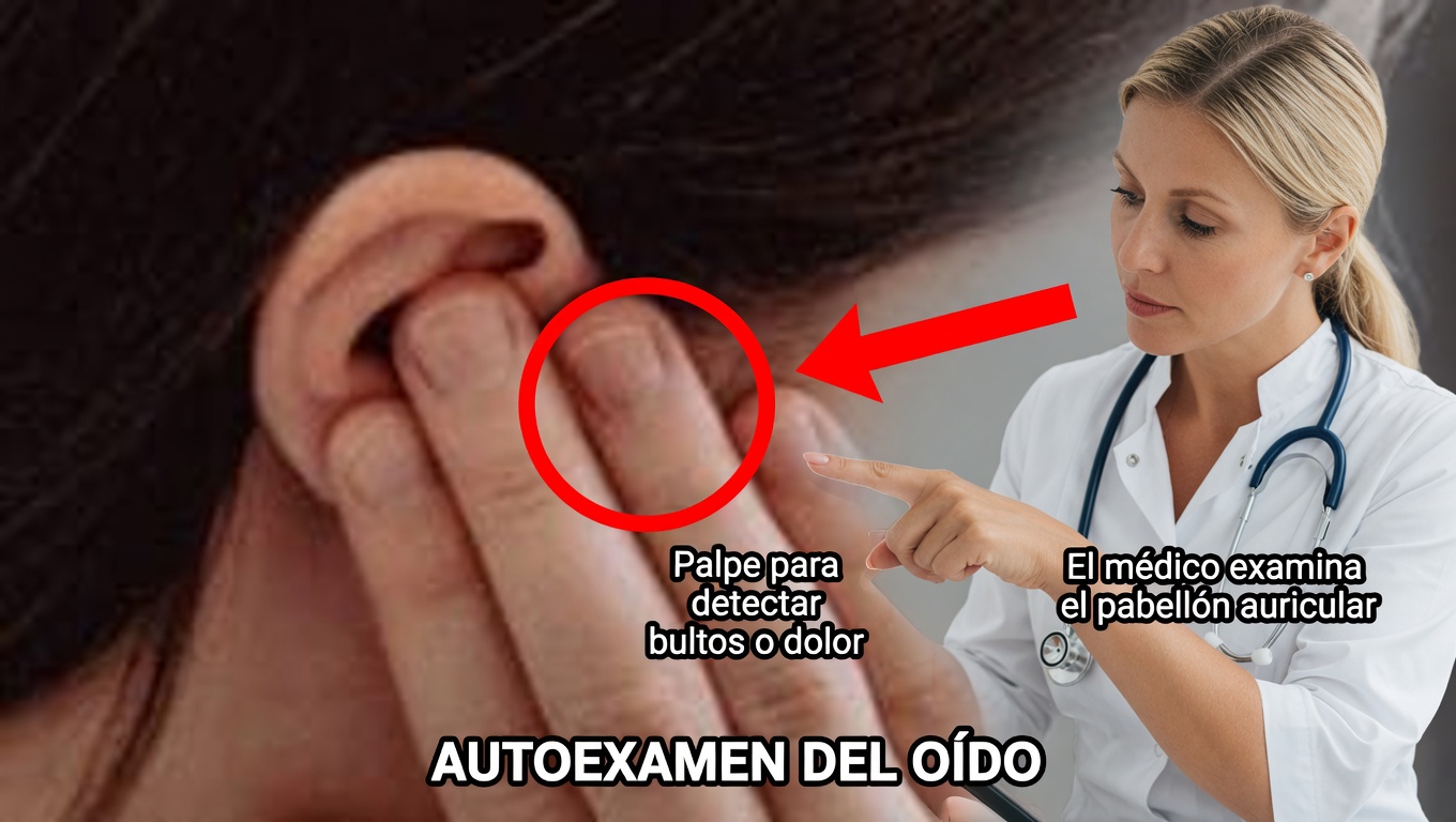 Remedios naturales para el dolor de oído e infecciones