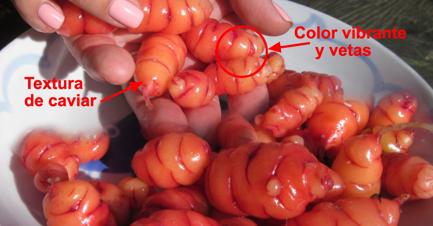 Garbanzos y huevos: una alternativa sin carne rica en proteínas