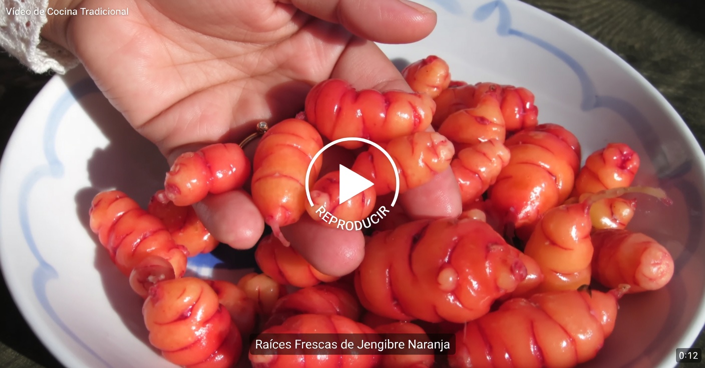 Descubre los beneficios naturales para bajar de peso del té de hibisco