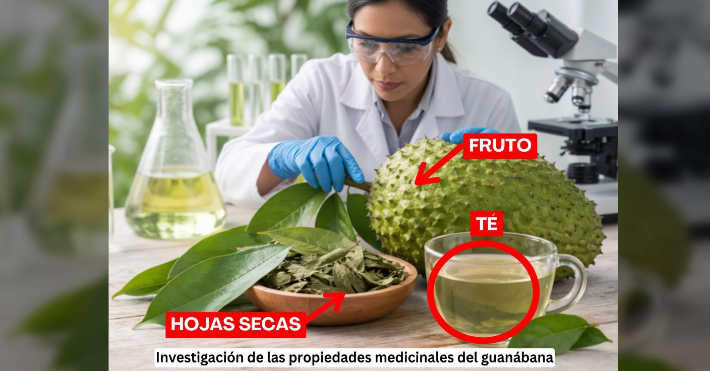 Guanábana y cáncer: mitos y lo que dice la ciencia