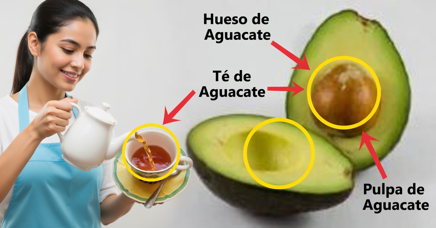 Té de hueso de aguacate: beneficios, preparación y cómo tomarlo