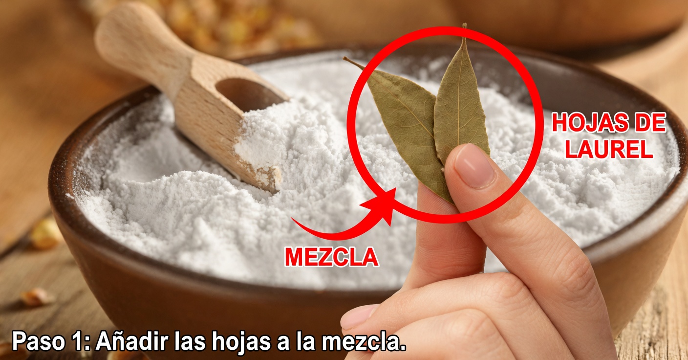 Mascarilla de laurel para rejuvenecer la piel