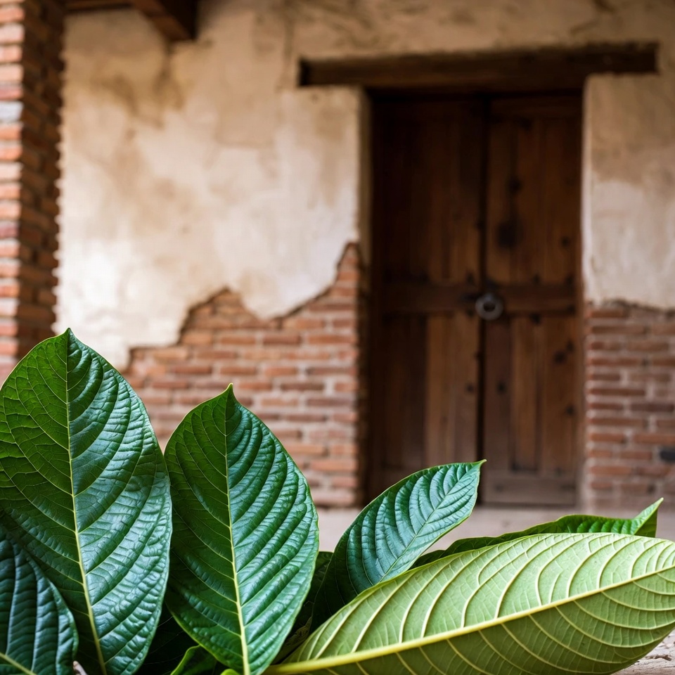 25 increíbles beneficios de las hojas de guayaba