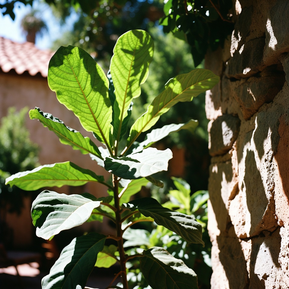 Una planta poderosa con beneficios asombrosos y consejos de cuidado fáciles