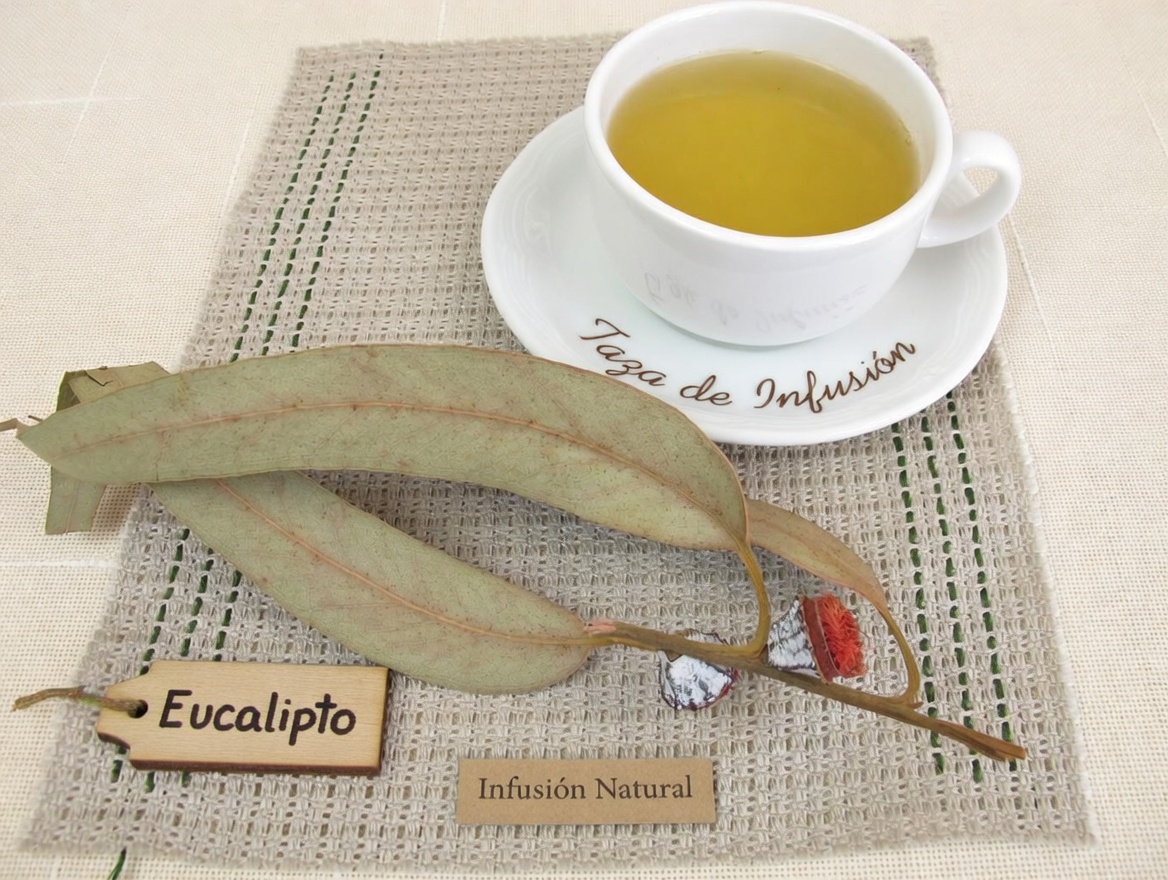 TE DE EUCALIPTO - ¿Para Qué Sirve_ - Beneficios Para Tu Salud Y Belleza