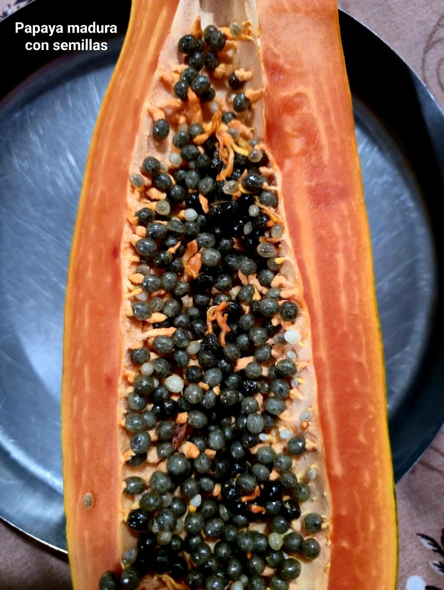 7 Frutas Nocturnas que Protegen tus Musculos Después de los 60 (Frena la Sarcopenia Naturalmente)