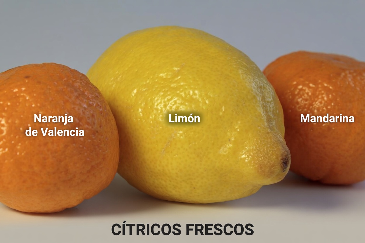 REGENERA tu CARTÍLAGO en SOLO 24 HORAS con el SECRETO que revela un médico ORTOPEDISTA