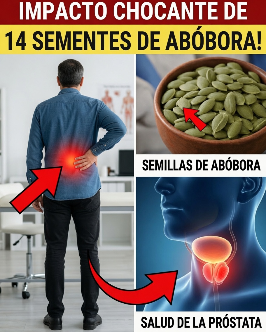 Lo que 14 semillas de calabaza al día pueden hacer por tu cuerpo con el avance de la edad — y por qué muchos mayores todavía no lo saben