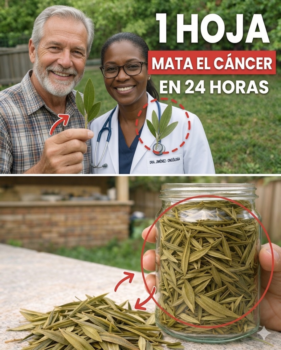 La hoja que está llamando la atención: explorando las hojas de guanábana y su potencial para el bienestar