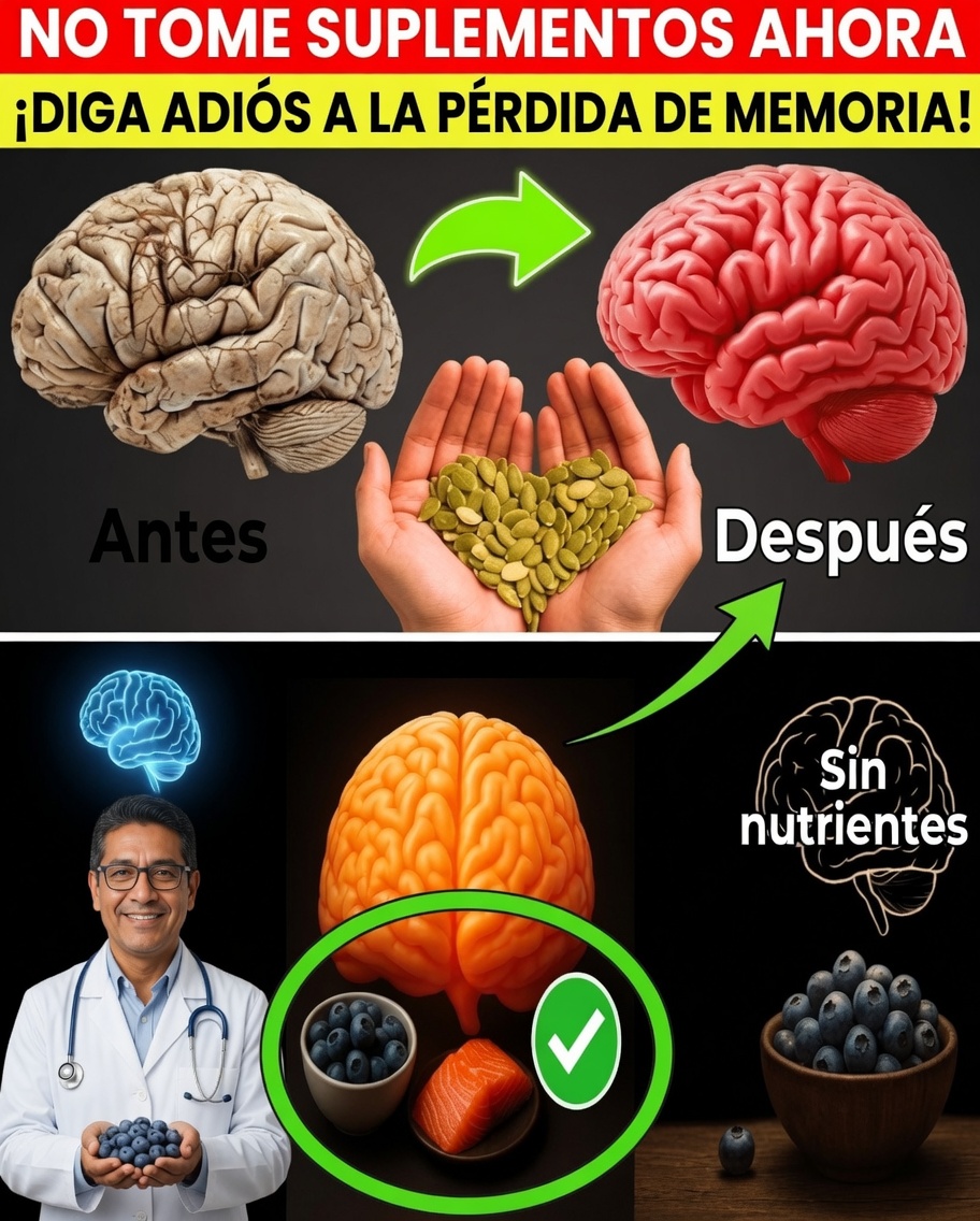 Esta diminuta semilla podría ser la clave natural para una memoria más aguda después de los 65