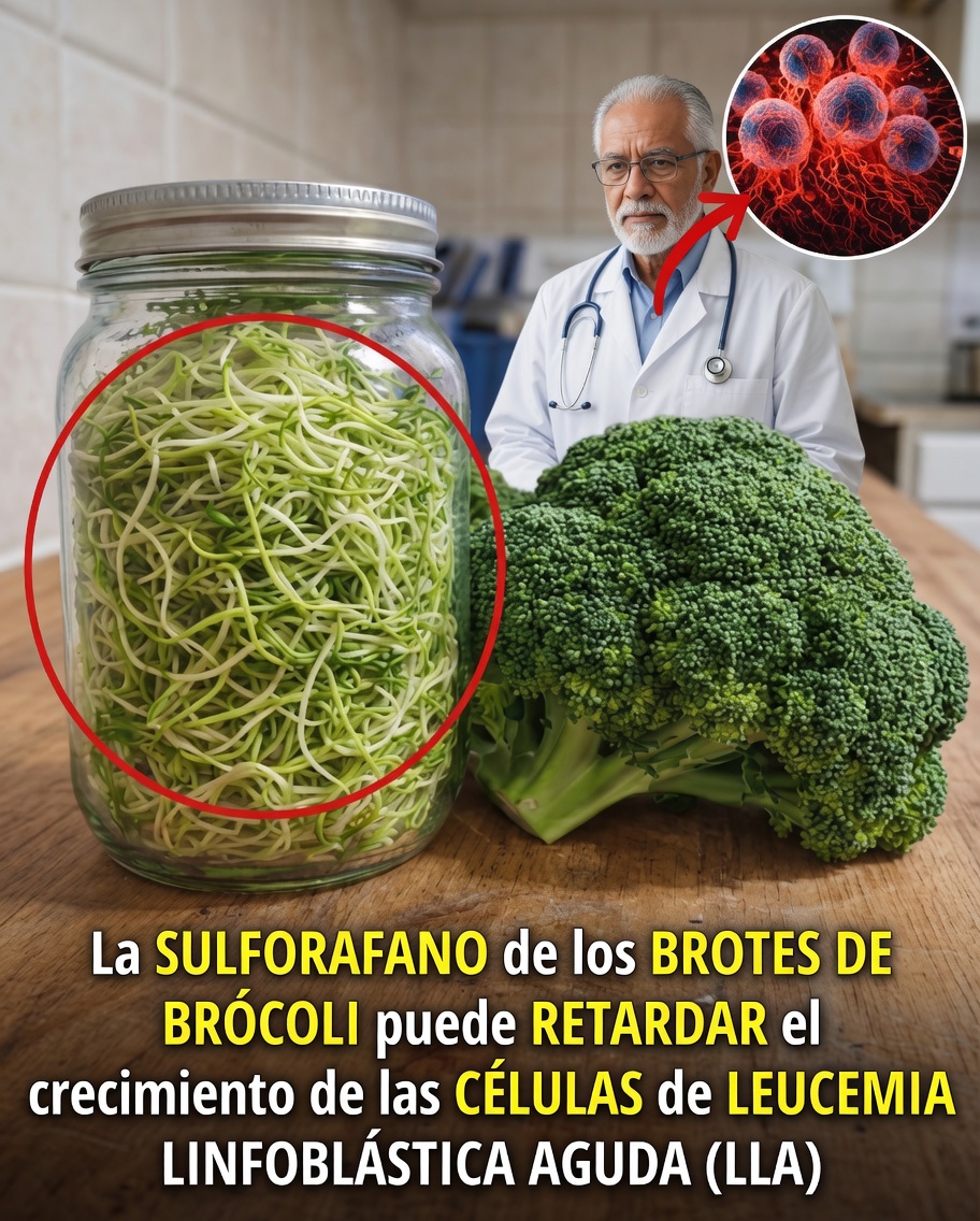¿Un compuesto de un vegetal común puede aportar nuevas perspectivas en el apoyo a la leucemia linfoblástica aguda?