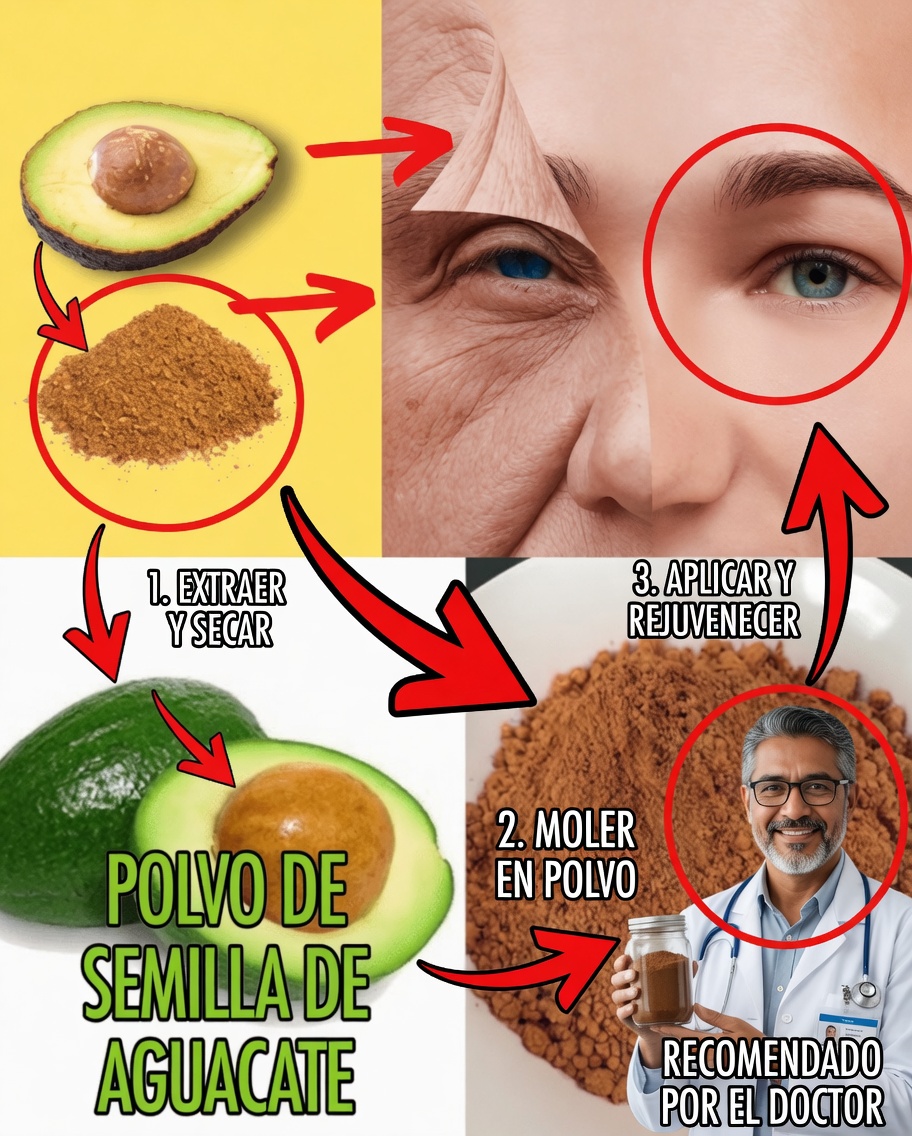 La semilla de aguacate: ¿superalimento oculto o tesoro desapercibido?