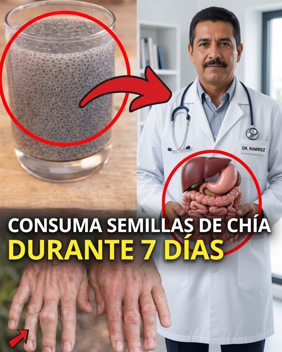 Qué pasa cuando comes semillas de chía todos los días durante 7 días (no es lo que la mayoría espera)