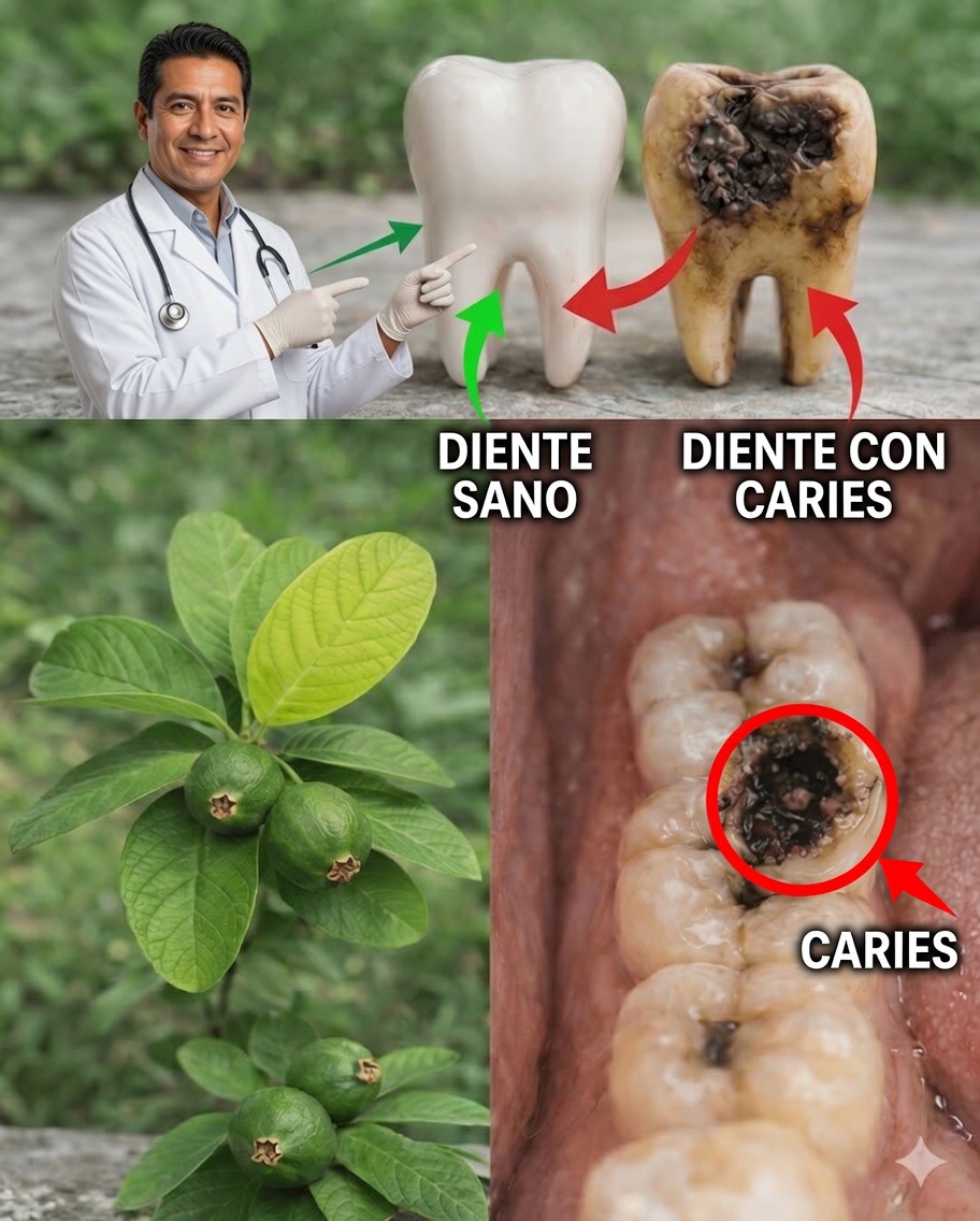 Cómo Aclarar Naturalmente Tu Sonrisa con Hojas de Guayaba: Un Remedio Casero Simple