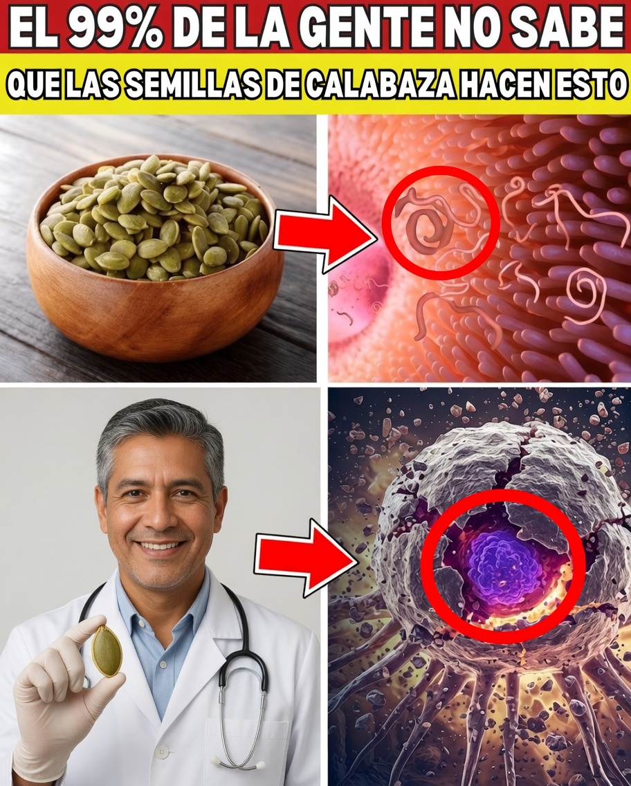 Come semillas de calabaza a diario: un hábito sencillo que podría transformar tu salud de forma natural