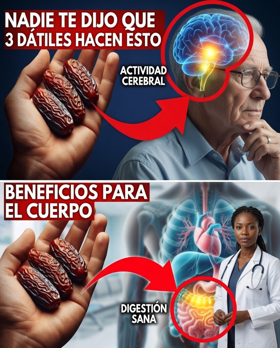 Come 3 dátiles al día durante 30 días: el sencillo hábito natural que puede transformar tu energía, tu digestión y tu estado de ánimo