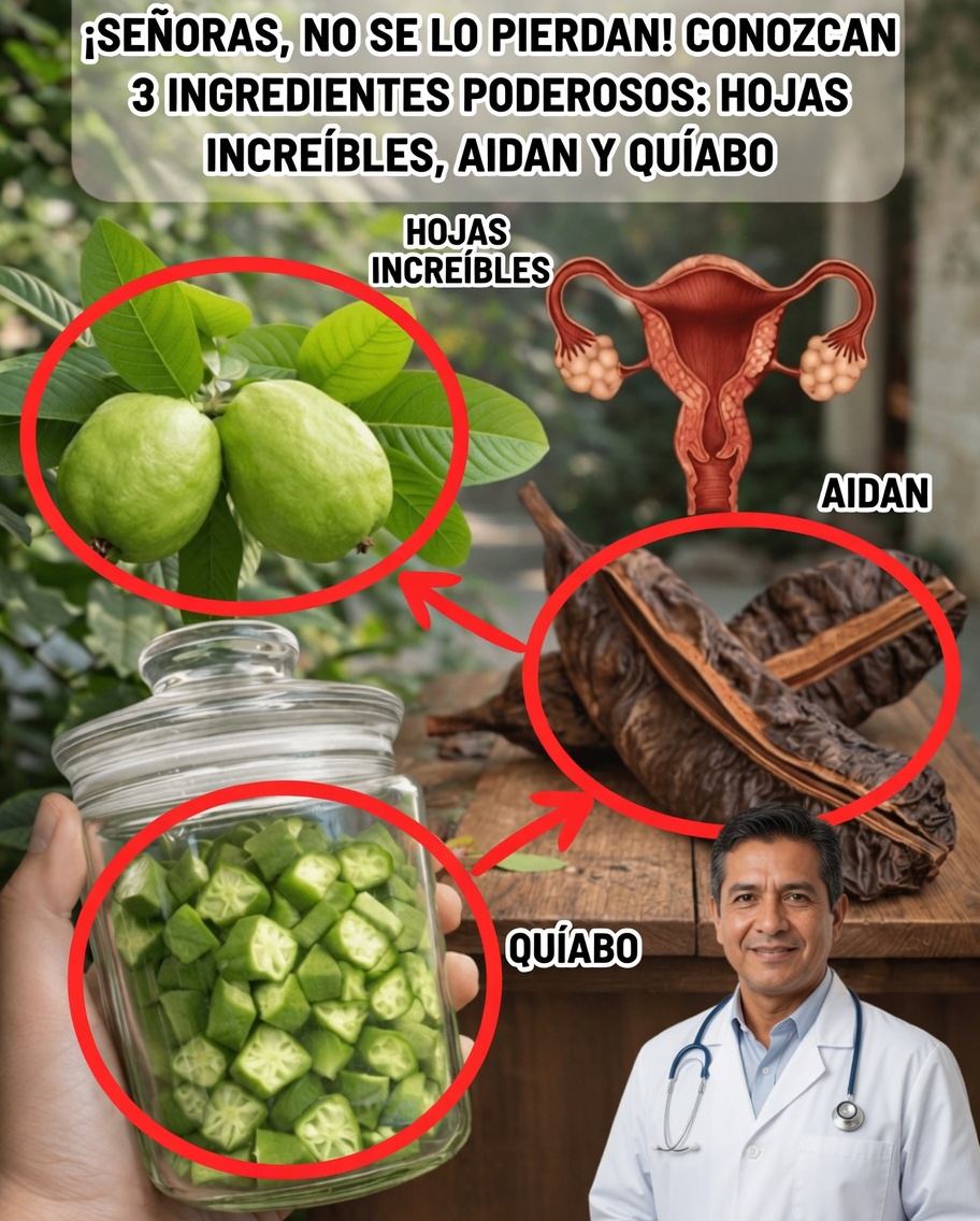 Descubra 3 ingredientes naturales que muchas mujeres están explorando para el bienestar diario: hojas de guayaba, fruto de aidan y okra