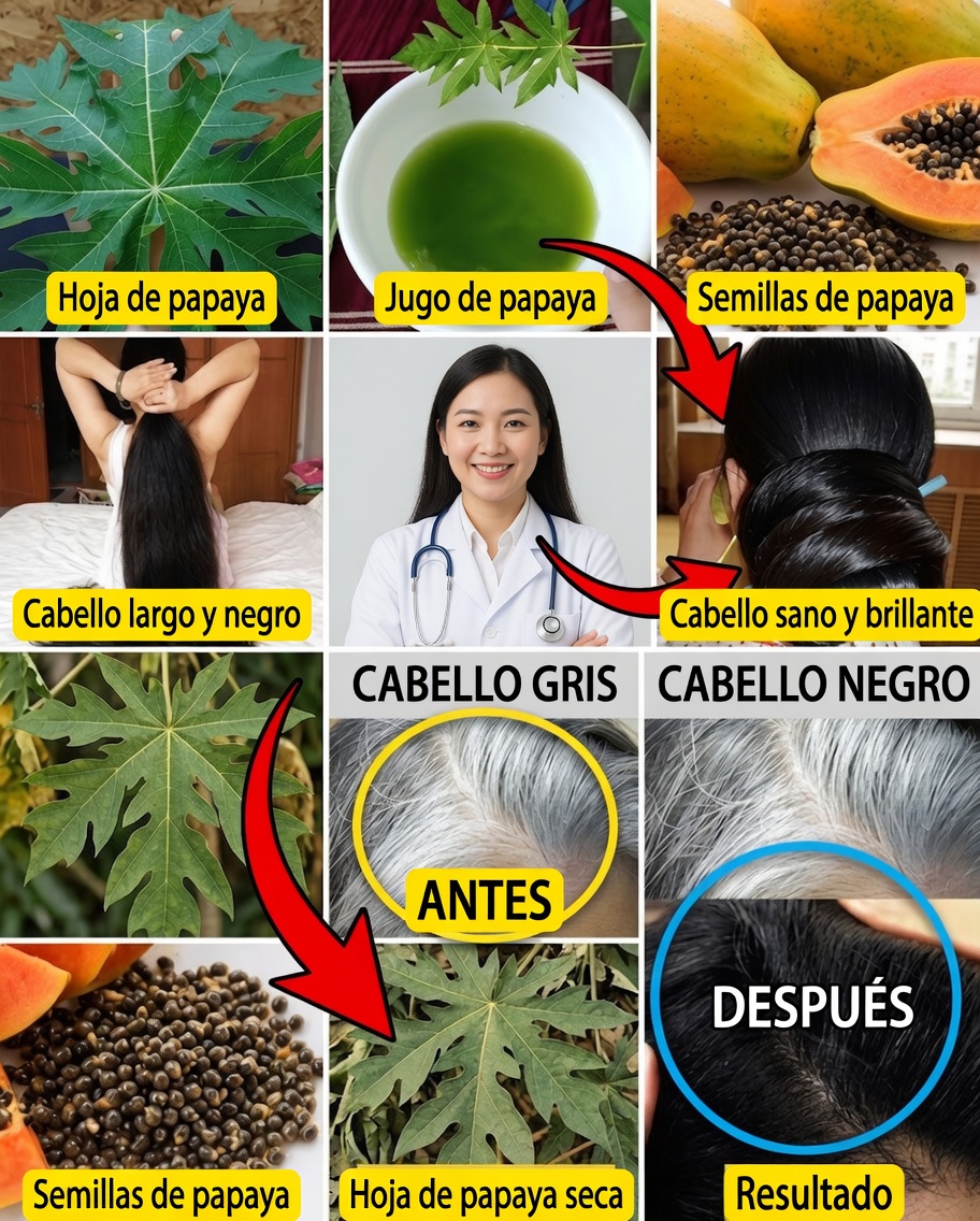Hojas de papaya para un cabello juvenil: un camino natural hacia mechones más oscuros, fuertes y radiantes
