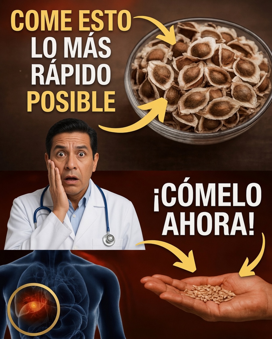 6 semillas que los ancianos deben comer todos los días para combatir el cáncer naturalmente