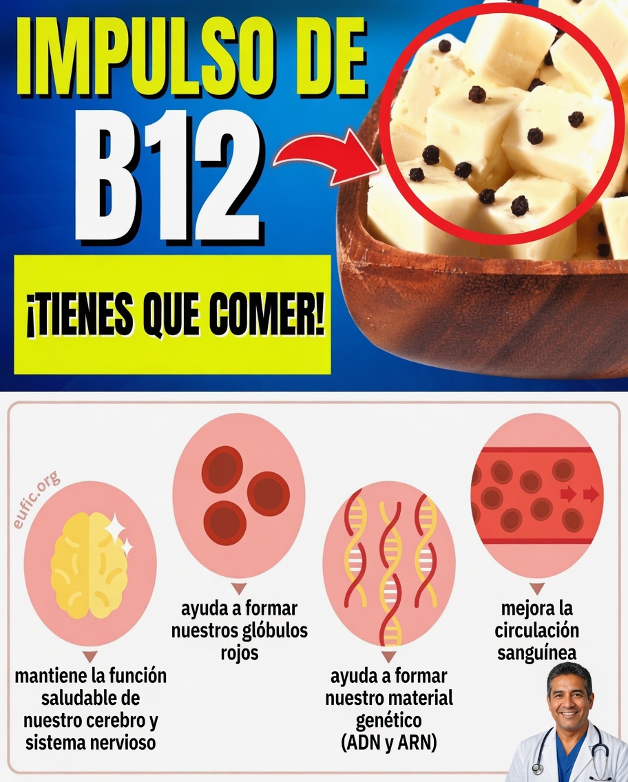 7 Alimentos Ricos en Vitamina B12 para Decir Adiós a la Niebla Mental