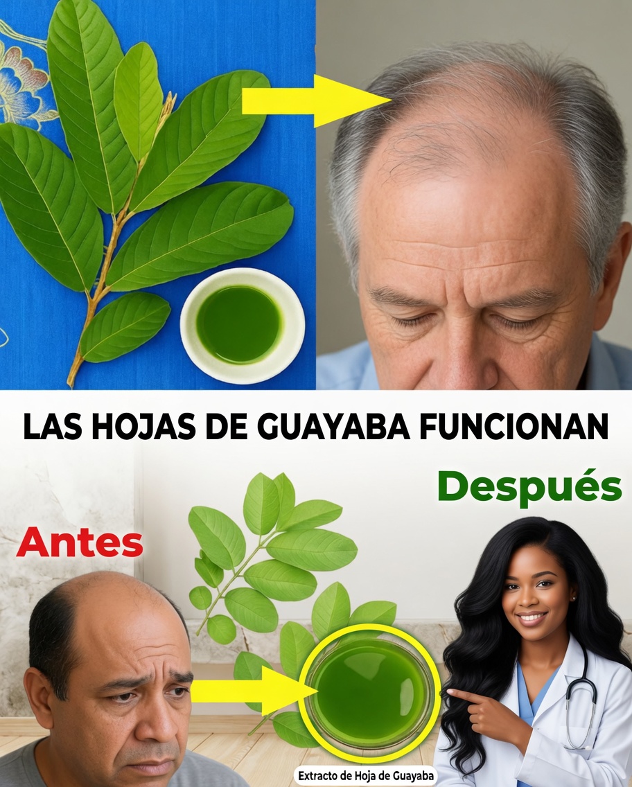De las Raíces a las Puntas: Hojas de Guayaba para Renovar el Cabello