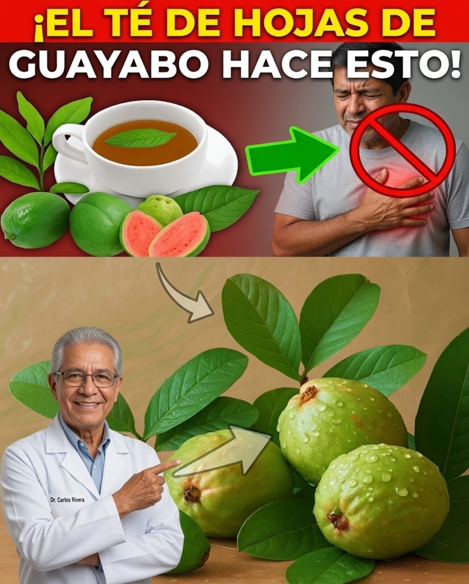 El antiguo secreto de las hojas de guayaba que el bienestar moderno está redescubriendo