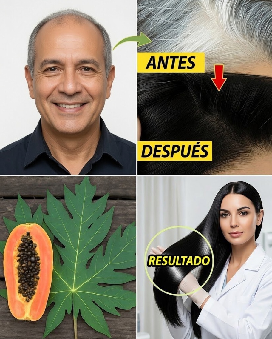 Hojas de Papaya: El Truco Natural para Tener el Cabello Más Oscuro y Largo Durante la Noche