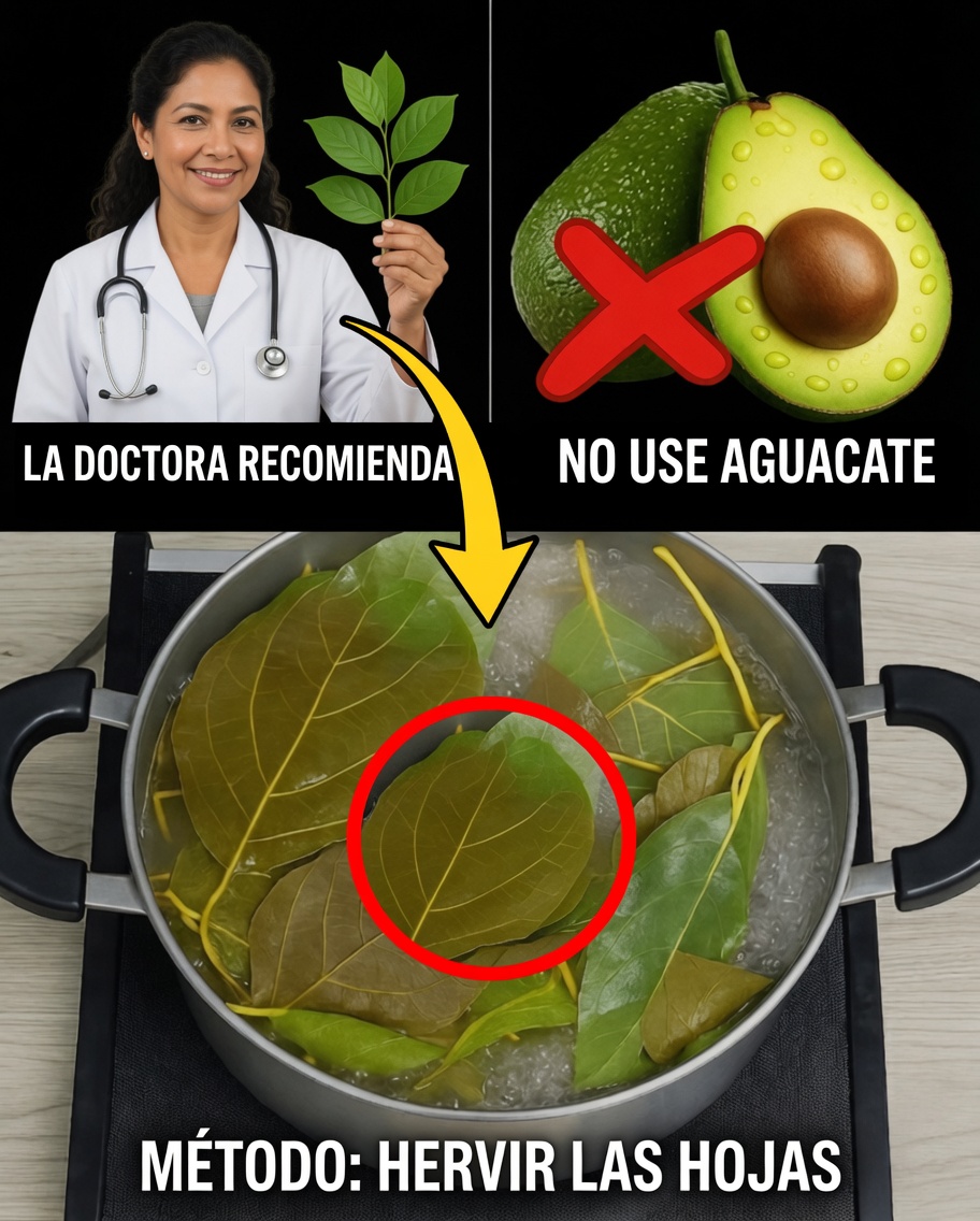 Hojas de Aguacate Reveladas: El Superalimento Natural que Casi Nadie Usa