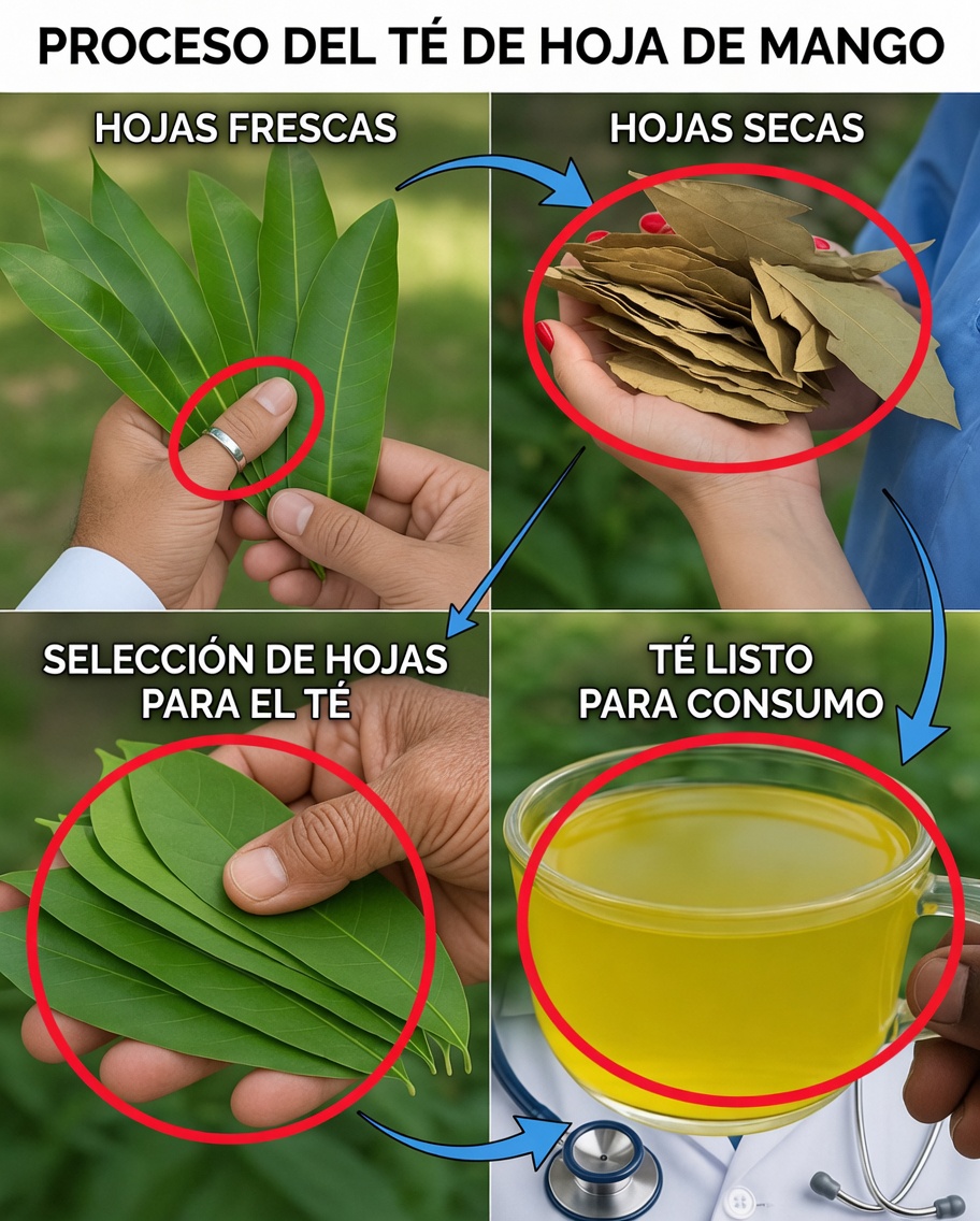 Cómo las hojas de laurel me ayudaron a afrontar la diabetes y la hipertensión a los 60 años