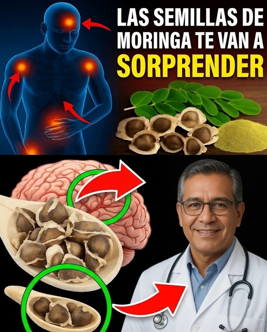 Por qué las semillas de moringa son un tesoro escondido para tu salud