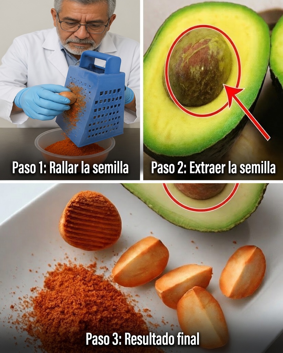 El Hueso de Aguacate: El Tesoro Nutricional Olvidado