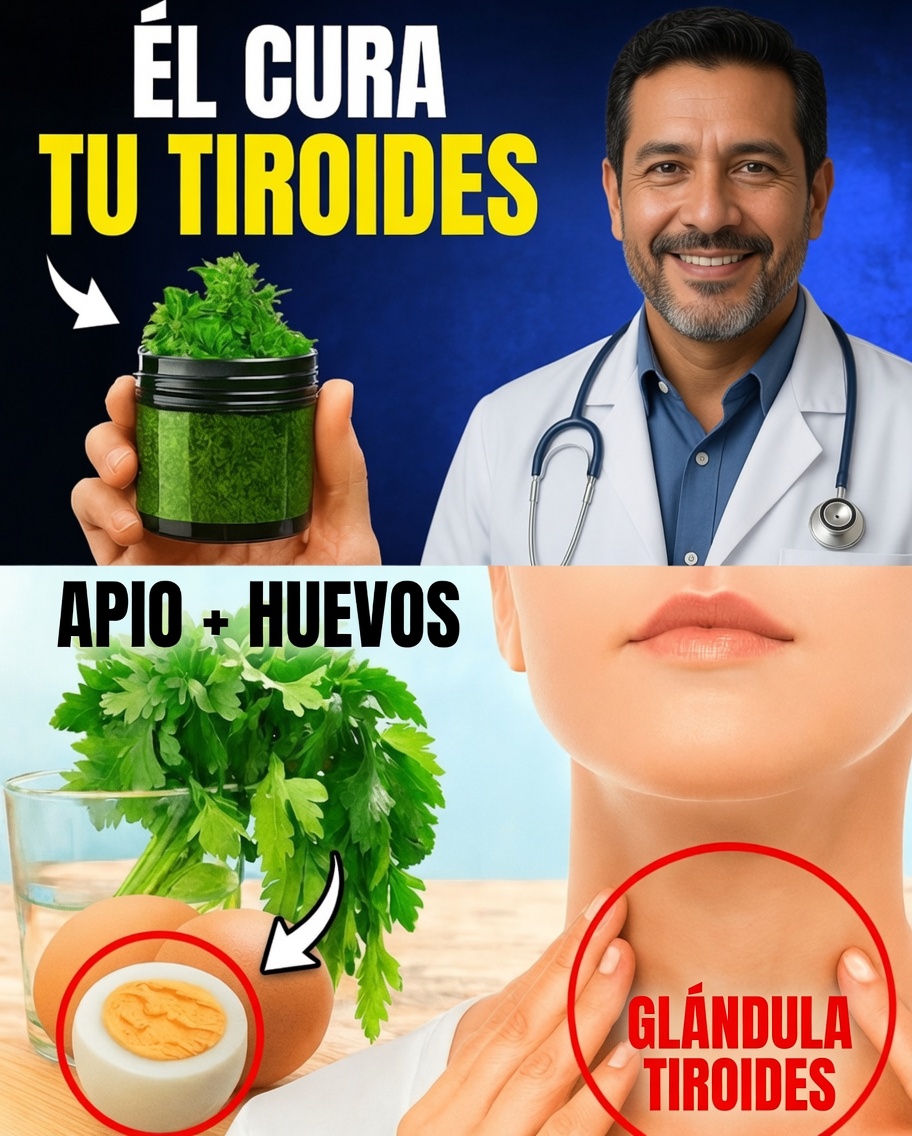 Cura tu tiroides de forma natural con estos 10 superalimentos poderosos