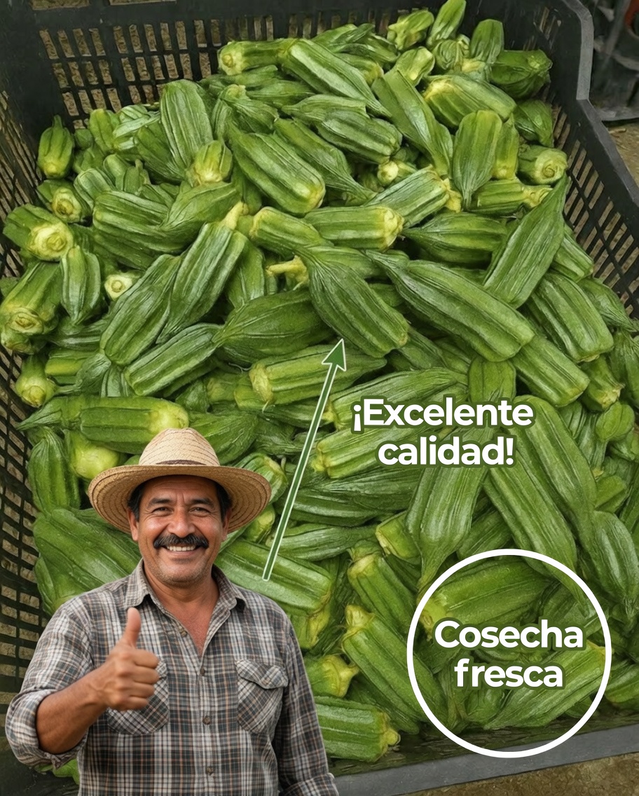 11 beneficios sorprendentes de comer okra varias veces por semana
